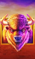 Buffalo King